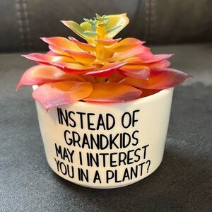 Colorful Succulent in Humorous Planter